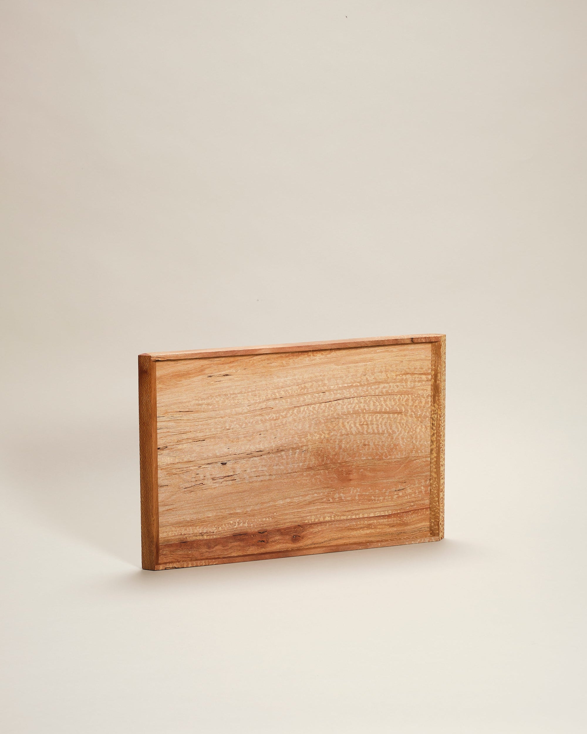 Either tray, plane large