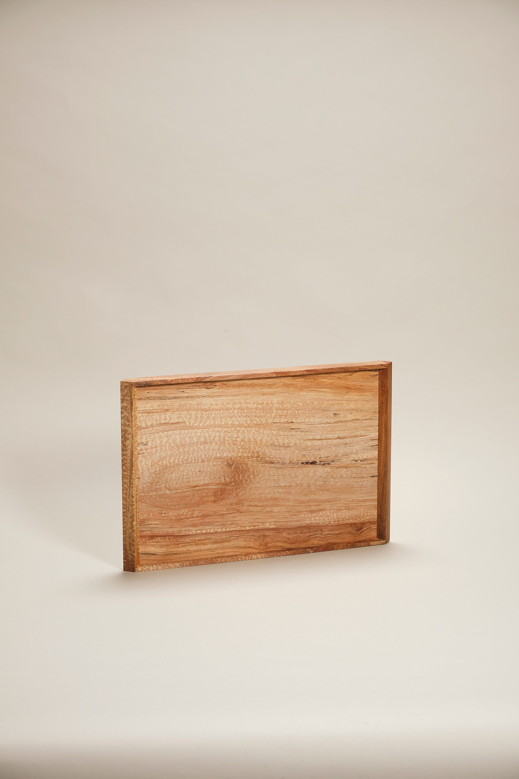 Either tray, plane large