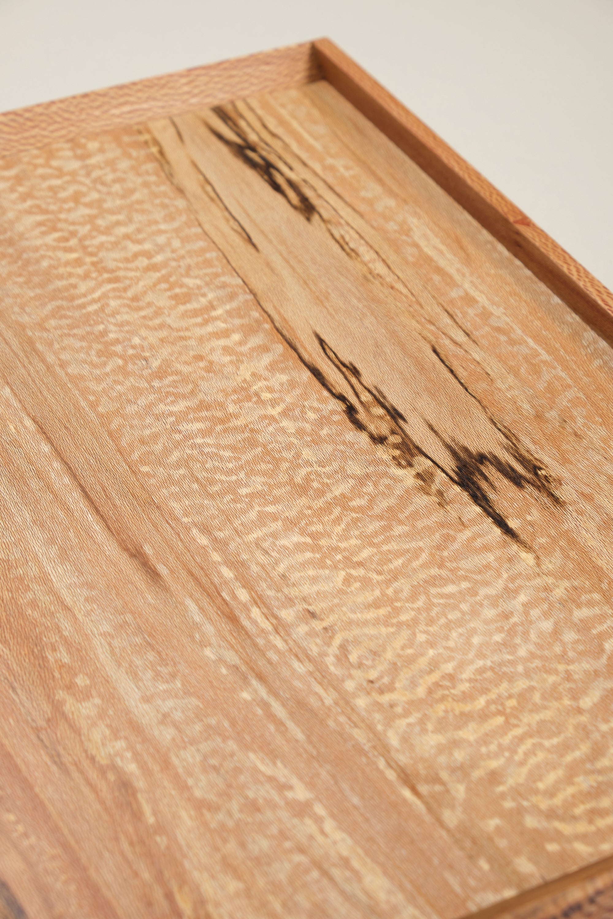 Either tray, plane large