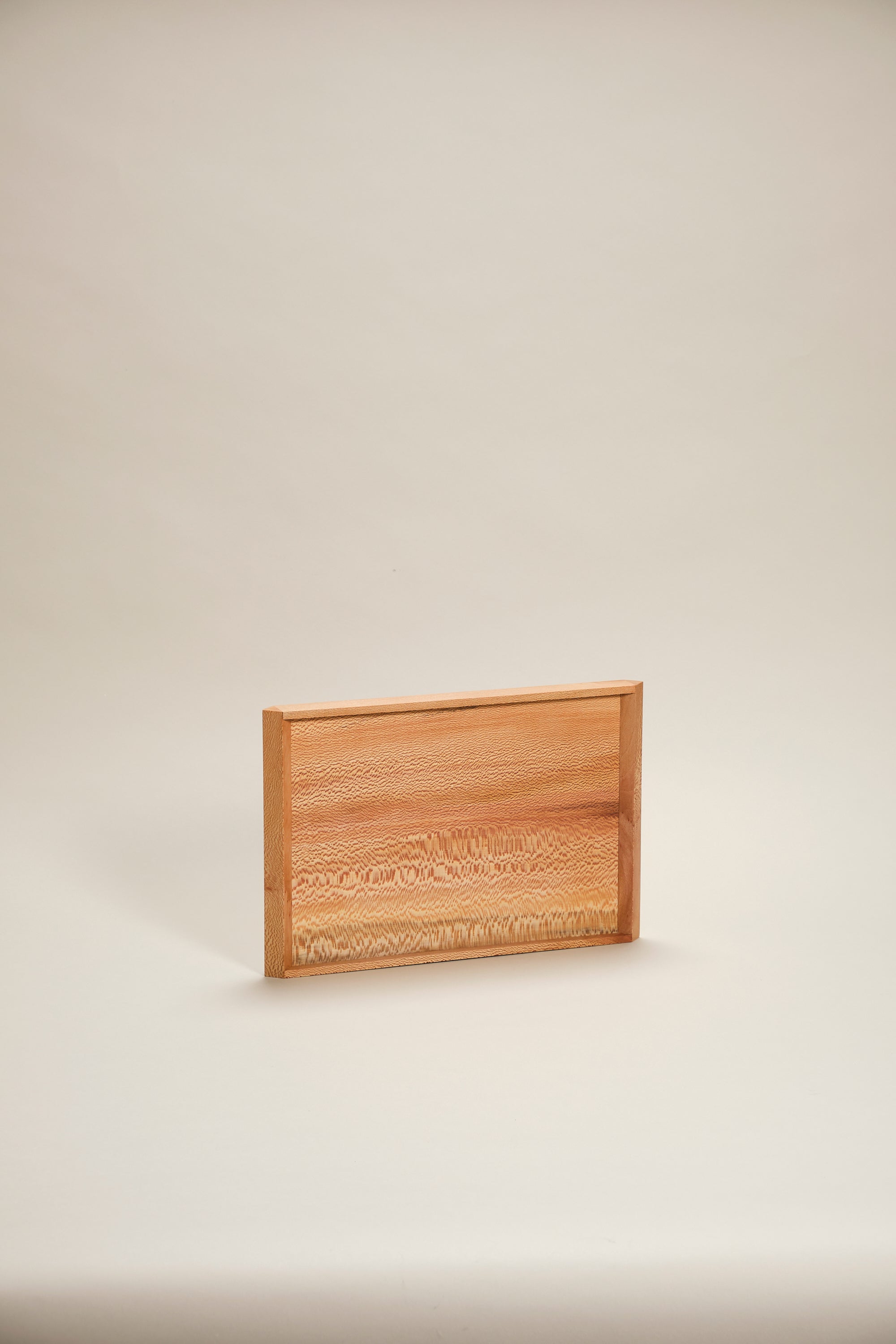 Either tray, plane small