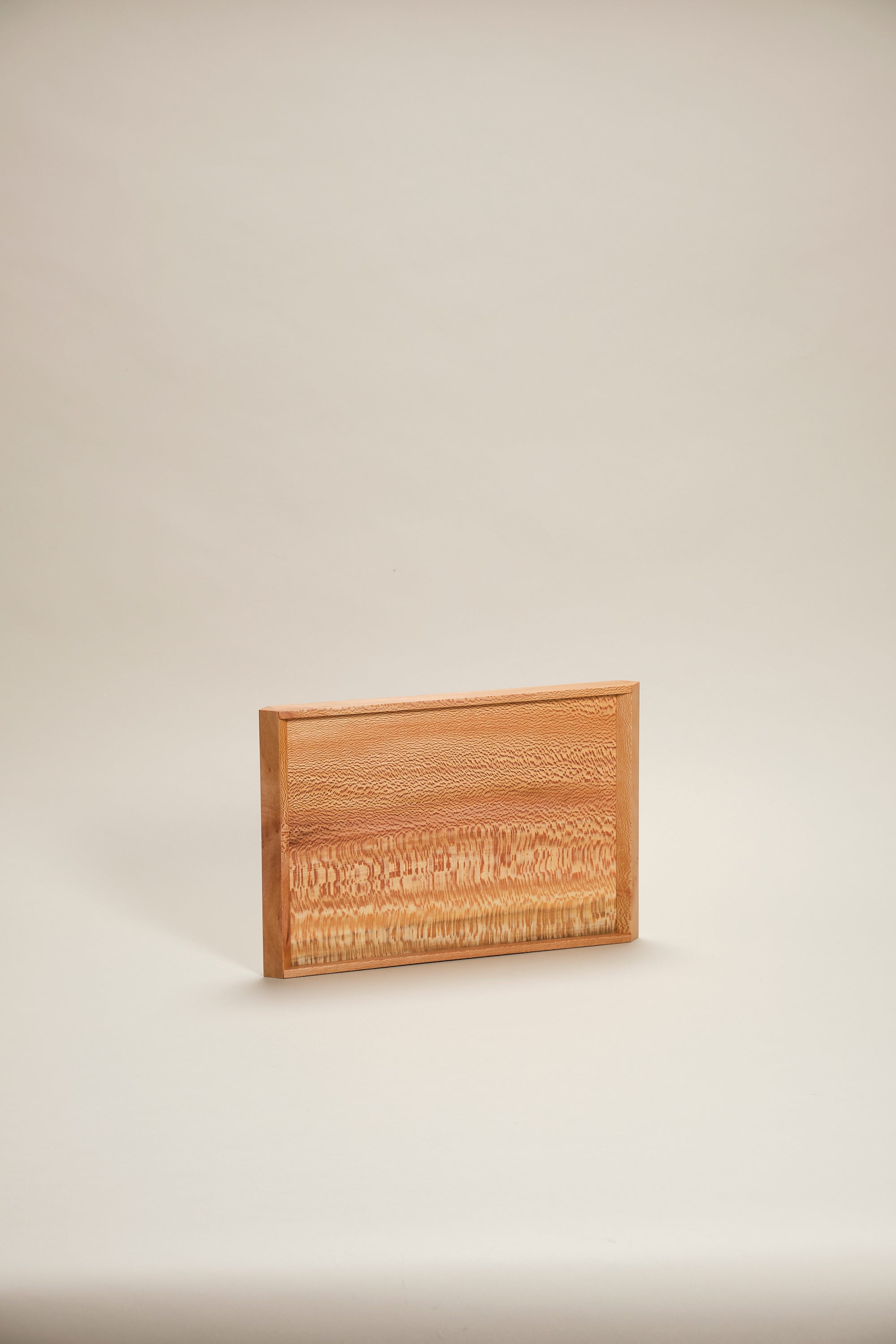 Either tray, plane small