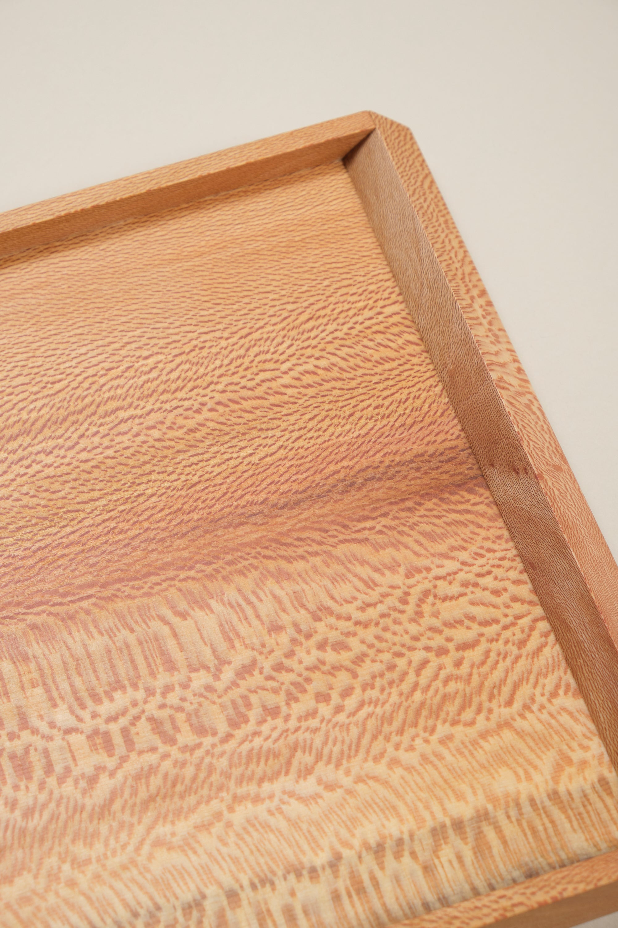 Either tray, plane small